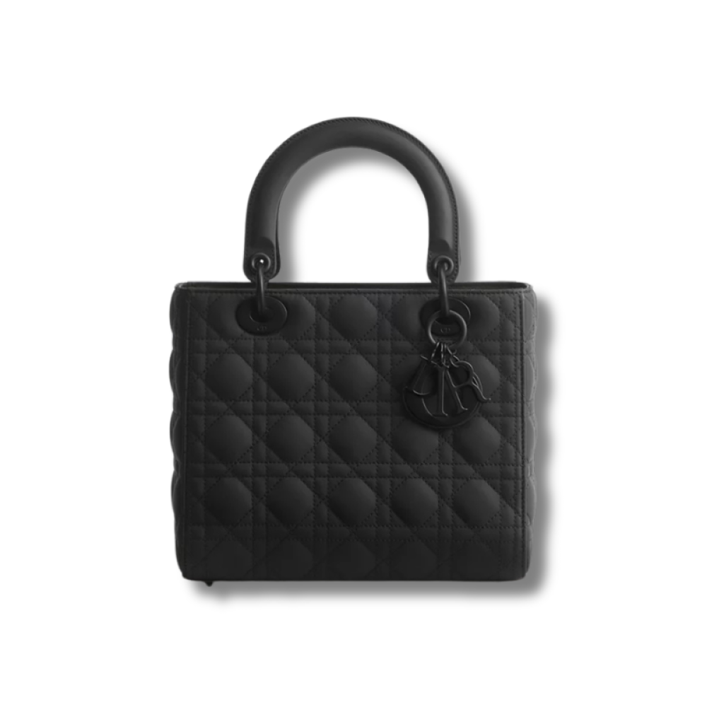 MINI LADY DIOR BAG